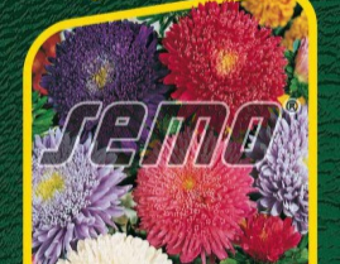 Semo Astra chineză "Super Princess Blend