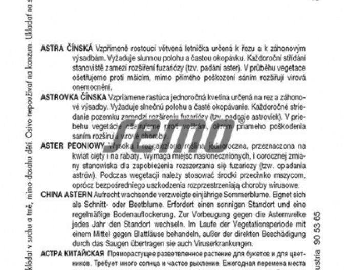 Astra chineză semințe ´American Beauty Blend´