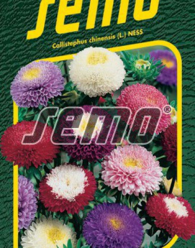 Seed Astra chineză ´Pompon Blend´