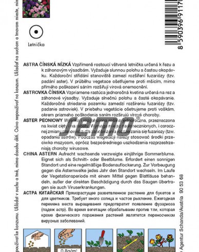 Semo Astra chineză ´Colour Carpet Blend´