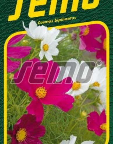 Semo Cosmos ´Gazebo Mix´