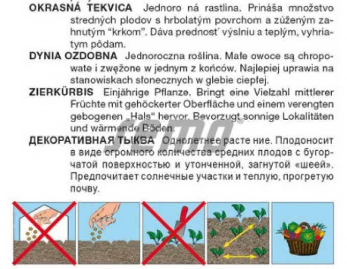 Semințe Dovleac ornamental ´Ga Ga Ga Ga Ga´