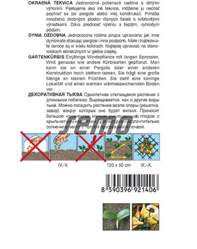 Semo Dovleac ornamental „Aripi Îngerești“