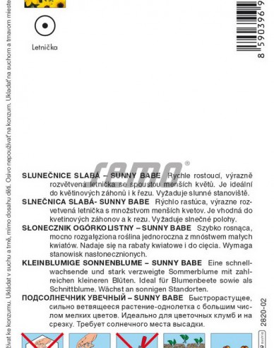 Semo Semințe de floarea soarelui ´Sunny Babe´