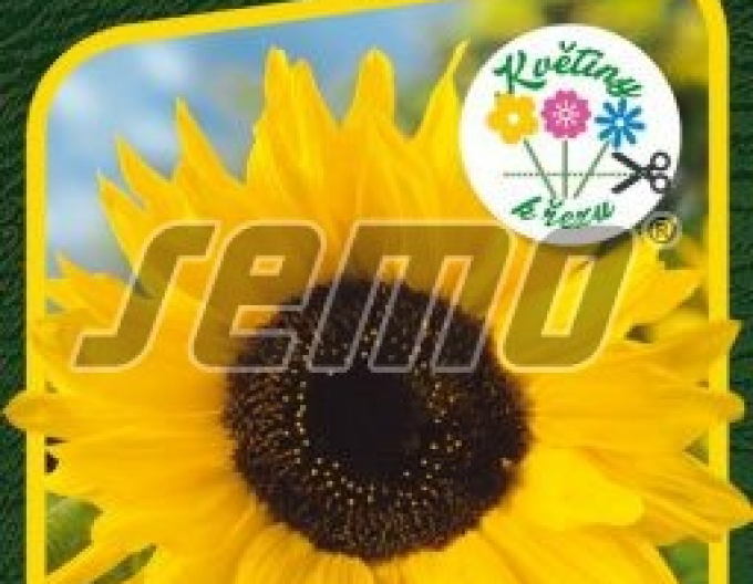 Semințe de floarea-soarelui anuale ´Sun´
