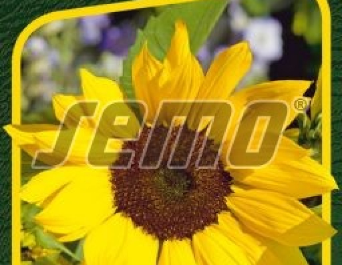 Semințe de floarea-soarelui anuale ´Sonny F1´
