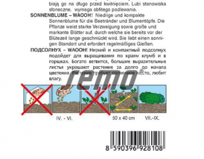 Semințe de floarea-soarelui anuale ´Waooh´