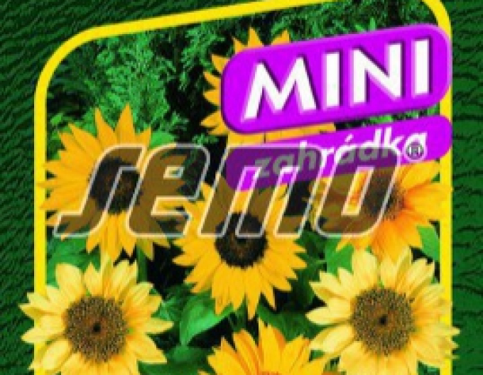 Semințe de floarea-soarelui anuale ´Pacino Mix´