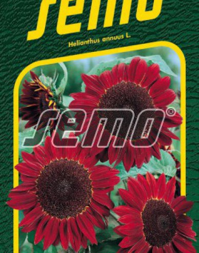 Semo Semințe de floarea soarelui ´Red´