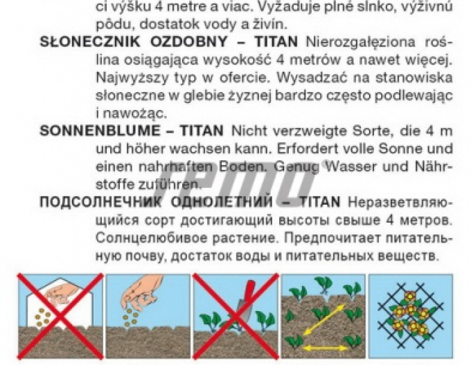 Semințe de floarea-soarelui anuale ´Titan´