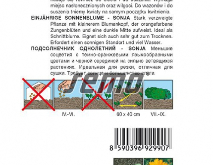 Semințe de floarea-soarelui anuale ´Sonja´