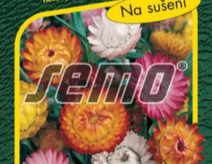 Semințe floare de paie ´Mix´