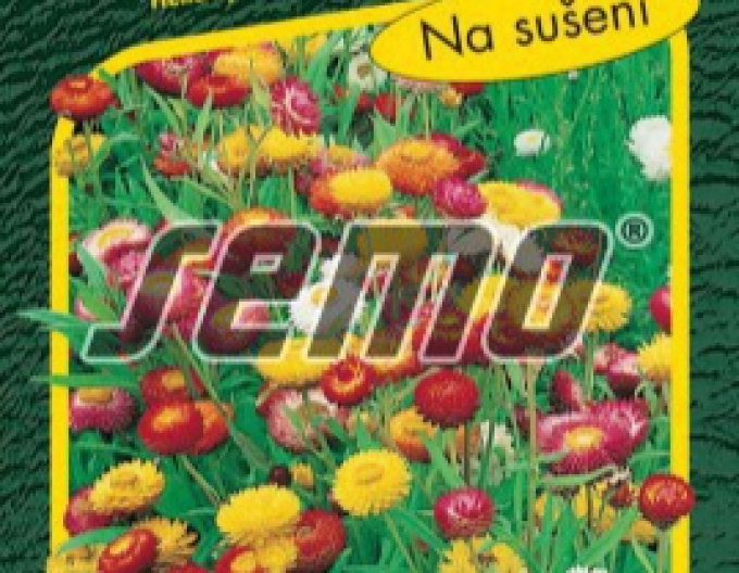 Semo floarea de paie ´Bunter Bikini Blend´