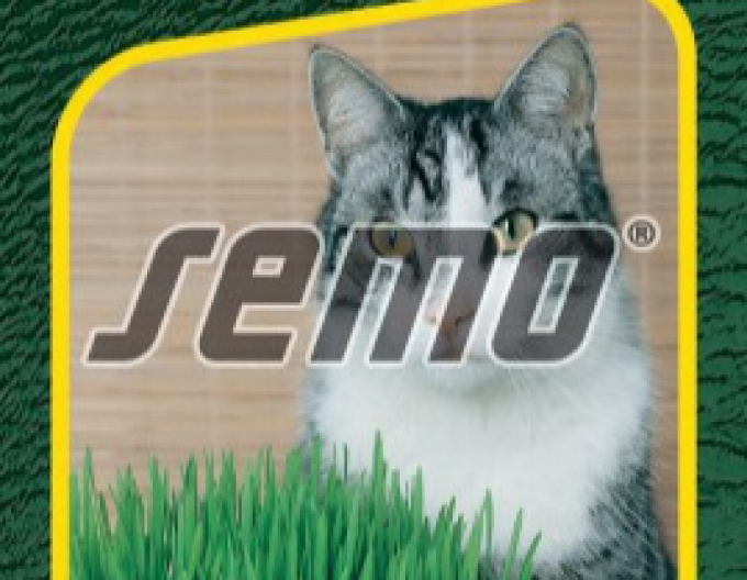 Semo Grass pentru pisici