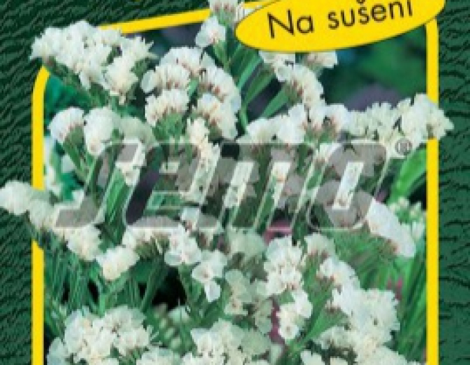 Semo Lime ´White´