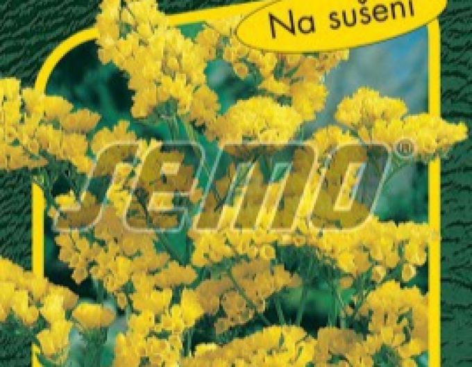 Semo Lime ´Gold Coast´