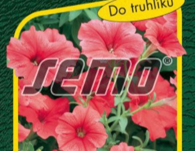 Petunia seed Velvet Salmon Shades