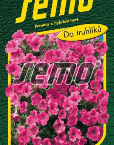 Semo semințe de petunie ´Rose Vein Velvet F1´