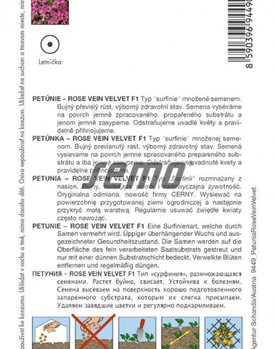 Semo semințe de petunie ´Rose Vein Velvet F1´