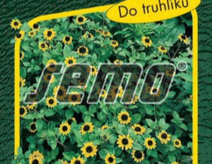 Semințe Sanvitalia  Târâtoare Yellow
