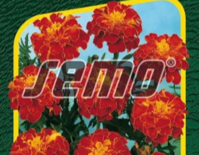 Semo Semințe de Tagetes  Carmen
