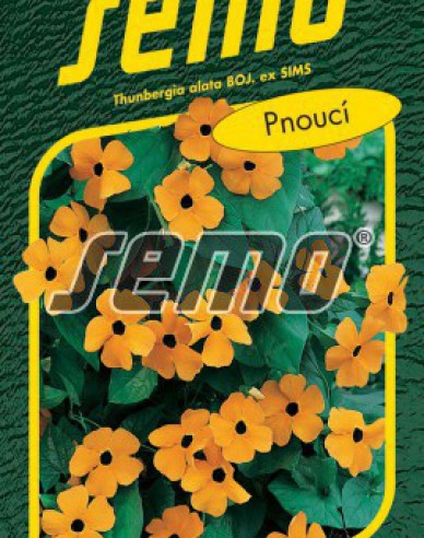 Semo Semințe de Thunbergia Orange