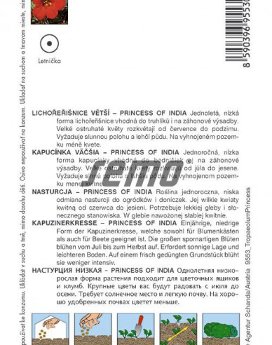 Semo semințe de capucina ´Princesă a Indiei´
