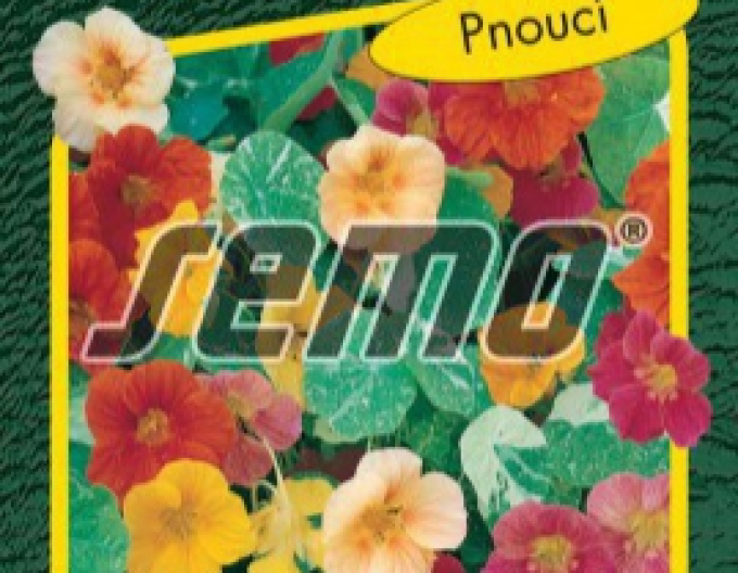 Semințe de Capucin ´Out of Africa´