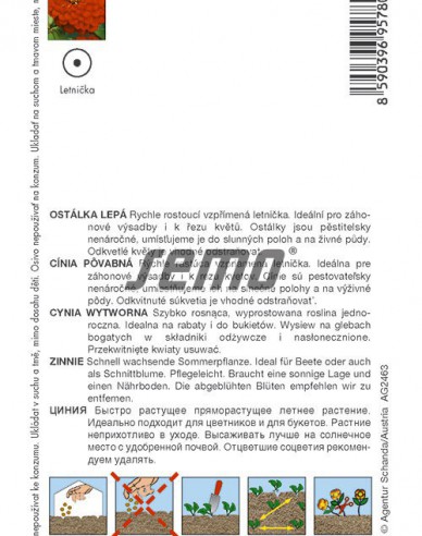 Semo Semințe de cârciumăreasă Cherry Queen