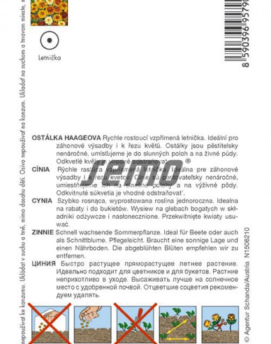Semo Semințe de cârciumăreasă ´Hageo Mix´