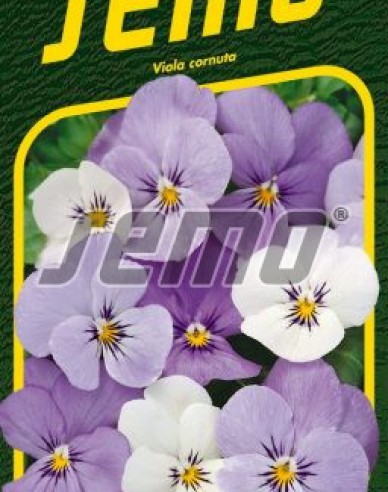 Semo Semințe de Violete  ´Sorbet Ytt´