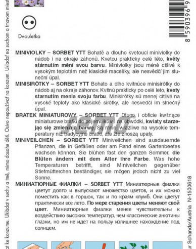 Semo Semințe de Violete  ´Sorbet Ytt´