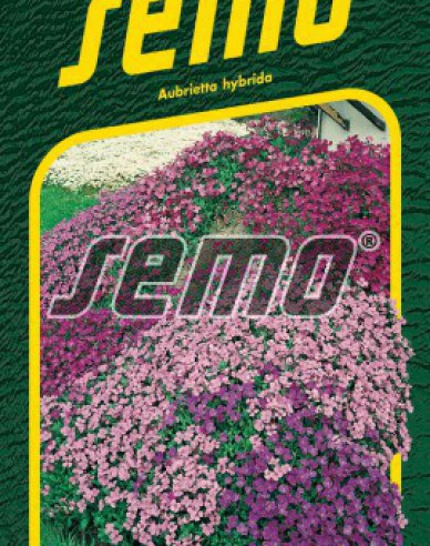 Semințe de aubrietă pentru stâncări ´Mixture´