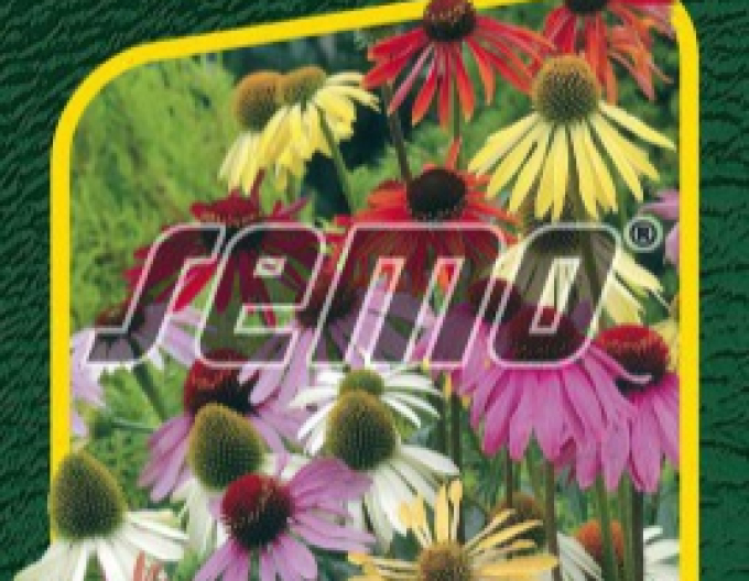 Echinacea semințe ´Paradiso´
