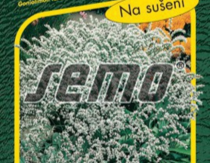 Semințe de Limonium tătărăsc ´White´