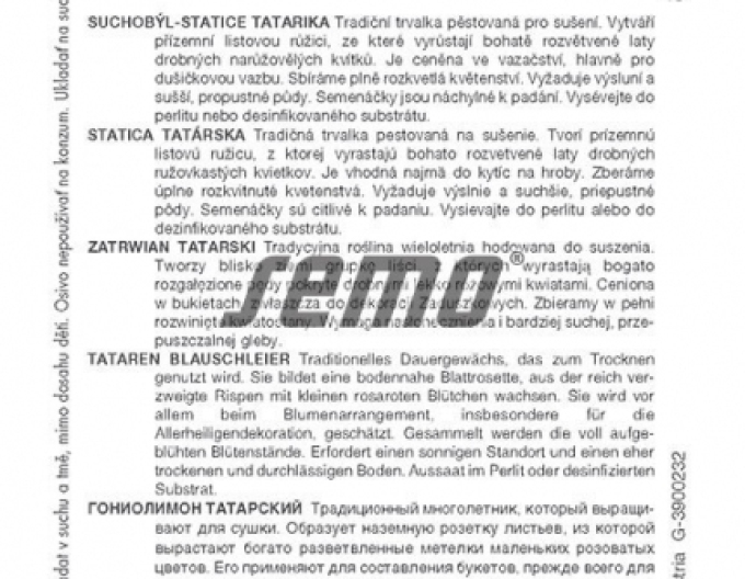 Semințe de Limonium tătărăsc ´White´