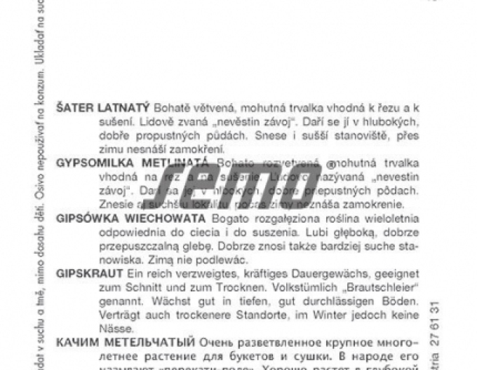 Semințe Gypsomilla White