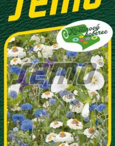 Semo semințe pentru covor floral „Cer albastru-alb”