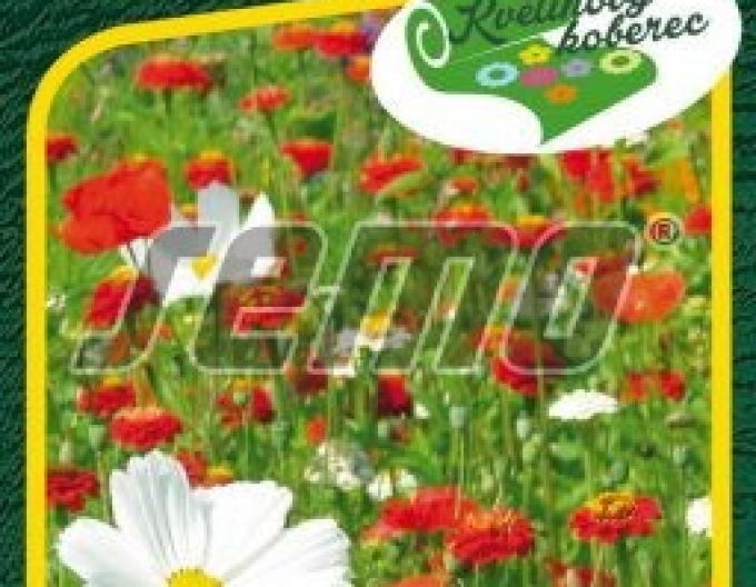 Covorul floral Semo ´Merișoare cu frișcă´