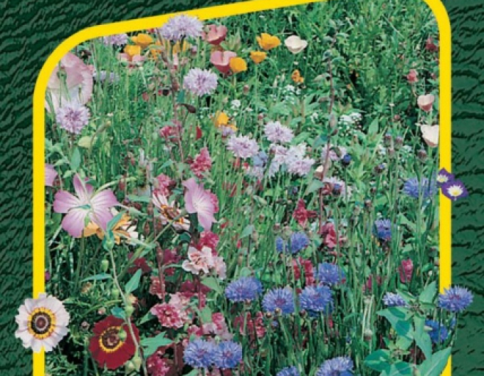 Covorul de flori Semo ´Grădina de flori japoneză´