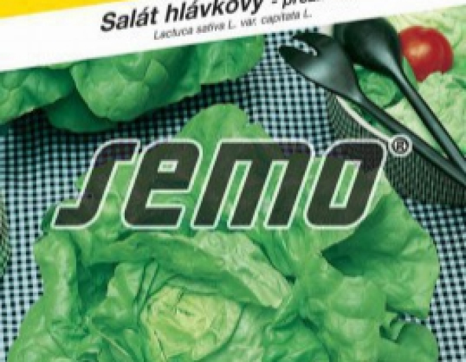 Semo Salată de iarnă ´Humil´