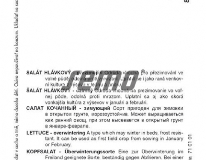 Semo Salată de iarnă ´Humil´