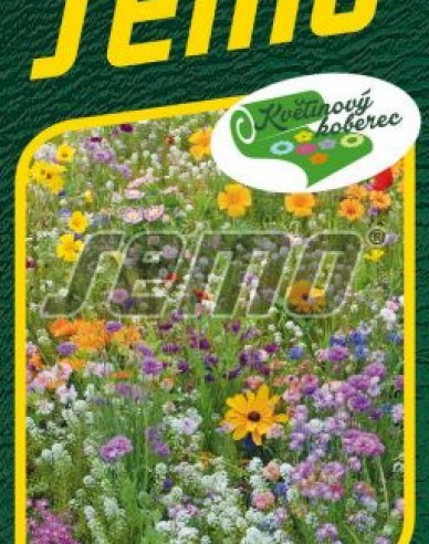 Semo semințe pentru covor floral „Vară colorată”