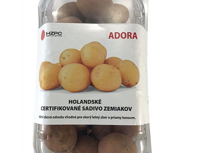 Cartofi de sămânță ´Adora´ cuvă aprox. 1kg