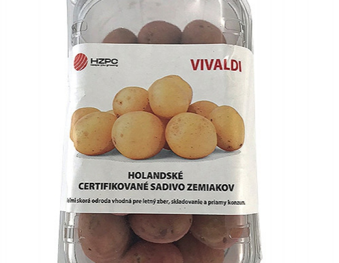 Cartofi de sămânță ´Vivaldi´ cuvă aprox. 1kg