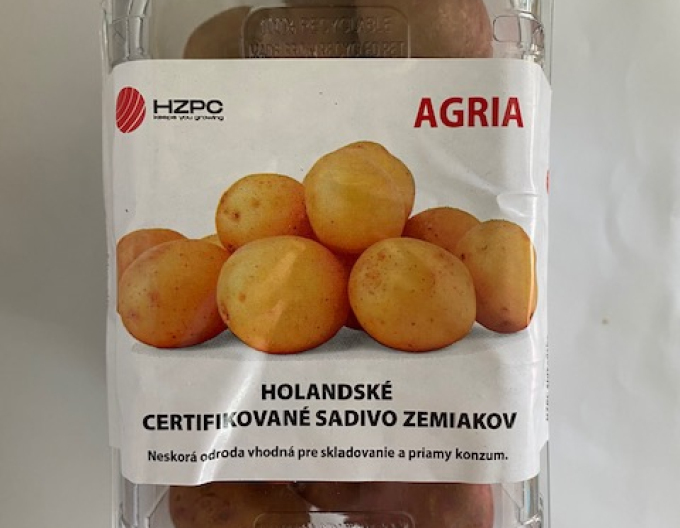 Cartofi de sămânță ´Agria´ cuvă aprox. 1kg