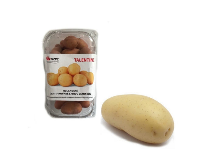 Cartofi de sămânță "Talentine" cutie aprox. 1kg