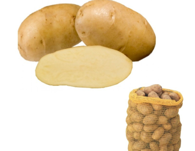 Cartofi de sămânță ´Agria´ 5kg