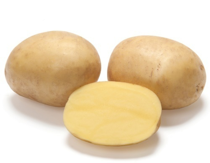 Cartofi de sămânță ´Noblesse´ 5kg