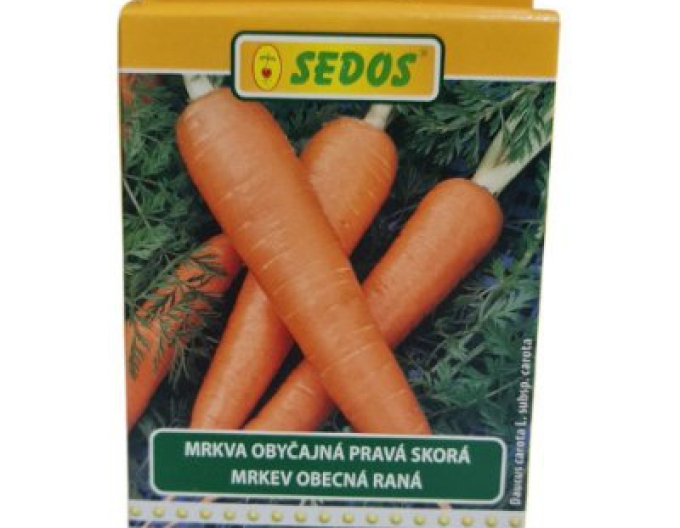 Sedos Morcov ´Naomi´ - bandă de însămânțare 5m